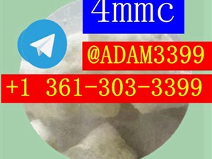 A-PVP a-PiHP 3mmc 3cmc 4-MMC 2-FDCK Eutylone 111982-50-4            1