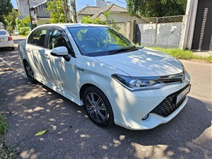 TOYOTA AXIO WXB FOR HIRE WITH DRIVER
