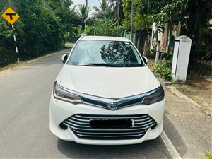 Axio Hybrid For Rent