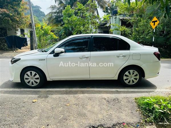 rent a car Axio hybrid