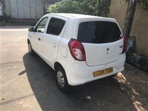 Alto for Rent