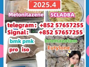 119276-01-6 protonitazene 14188-81-9 2732926-24-6 iso