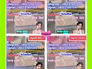 109555-87-5 5CLADBA Eutylone 802855-66-9 407-97-6