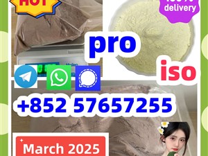 119276-01-6 protonitazene 14188-81-9 2732926-24-6 iso