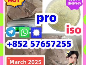 119276-01-6 protonitazene 14188-81-9 2732926-24-6 iso