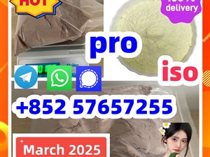 119276-01-6 protonitazene 14188-81-9 2732926-24-6 iso