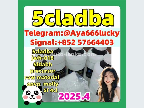 5cladba 5cladbb 5fadb 5cladb  4cladbb top cannabinoid CAS 407-97-6 109555-87-5