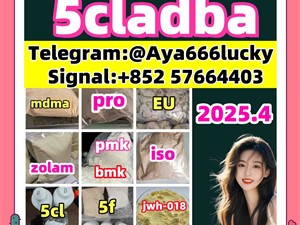 5cladba 5cladbb 5fadb 5cladb eutylone 2fack 120-61-6 584-08-7 apvp molly dmf