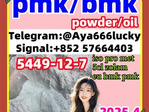 New pmk powder pmk oil New bmk powder bmk oil  CAS 5449-12-7