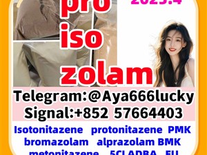 Alprazolam bromazolam 5cladba eutylone New bmk powder pmk oil protonitazene isotonitazene etizolam