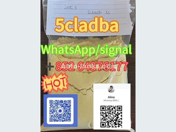 High quality Powder 5cladba Raw material Adbb＋85264376177