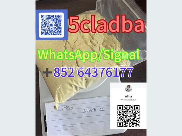High quality Powder 5cladba Raw material Adbb＋85264376177