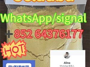 5cladba, 5cladb, 5cl-adb-a With Low Price+85264376177