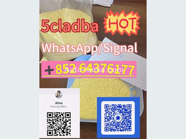 5cladba precursor raw material 5cl adbb＋85264376177