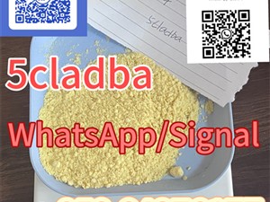 Raw Material 5cl 5cladba Precursor Raw 5cl-adb-a+85264376177