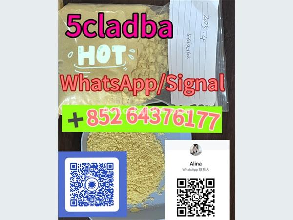 5cladba raw material 5CL-ADB-A precursor raw＋85264376177