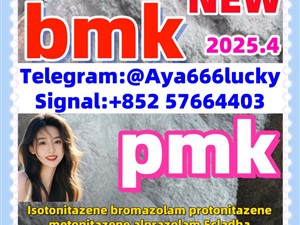 New bmk powder pmk powder CAS 5449-12-7 52190-28-0 2050-07-9