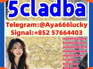 5cladba 5fadb 5cladbb 5CLADB CAS 109555-87-5 precursor jwh-018