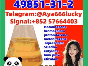 49851-31-2 2-Bromo-1-phenyl-pentan-1-one