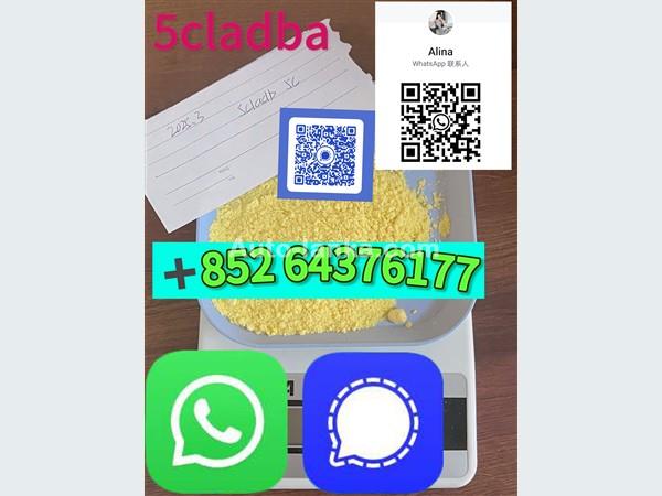 5cladb 5CL-ADB-a High quality Powder 5cladba Raw material Adbb＋85264376177