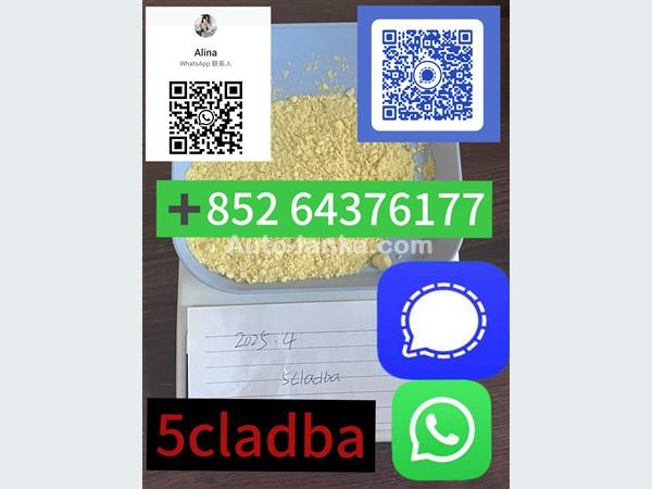 5cladb 5CL-ADB-a High quality Powder 5cladba Raw material Adbb＋85264376177