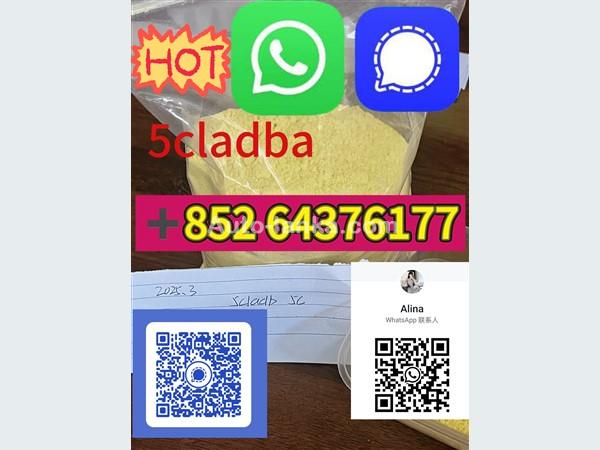 5cladba Original Product Name 5clAdba Synonyms 5clAdba＋85264376177