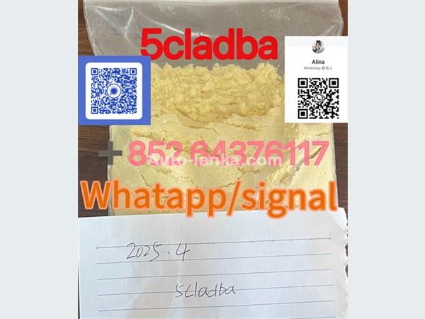 5cladba Original Product Name 5clAdba Synonyms 5clAdba＋85264376177