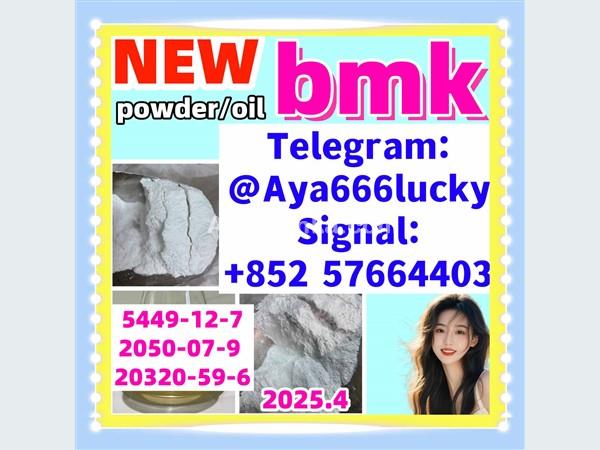 New bmk powder pmk powder CAS 5449-12-7