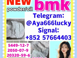 New bmk powder pmk powder CAS 5449-12-7