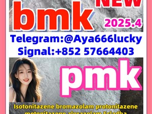 bmk powder 5449-12-7 718-08-1 52190-28-0 2050-07-9