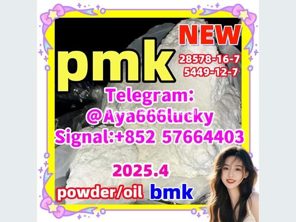 pmk powder 5449-12-7 718-08-1  52190-28-0 Hot sell Door to Door
