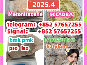 109555-87-5 5CLADBA Eutylone 802855-66-9 407-97-6