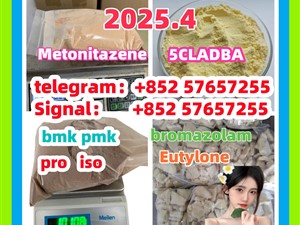 109555-87-5 5CLADBA Eutylone 802855-66-9 407-97-6