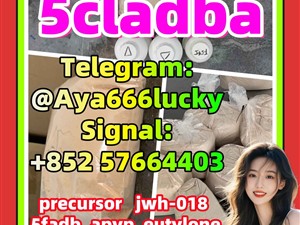 5CL-ADBA Strongest Research Chemical 5cl Precursor 5cladba