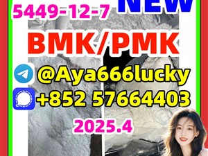 High quality 99% CAS 5449-12-7 BMK Glycidic Acid Sodium Salt Powder pmk powder