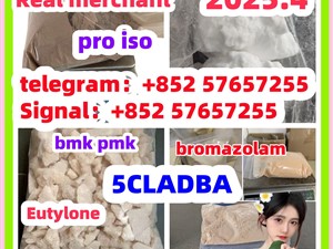 109555-87-5 5CLADBA Eutylone 802855-66-9 407-97-6