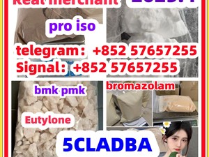 109555-87-5 5CLADBA Eutylone 802855-66-9 407-97-6