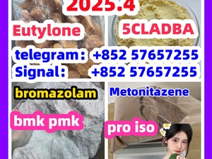 109555-87-5 5CLADBA Eutylone 802855-66-9 407-97-6