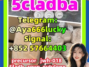 5cladba 5fadb 5cladbb 5CLADB 4fadb 4cladbb 6FADB cannabinoid adb-butinaca