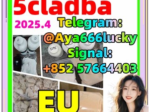 109555-87-5 5cladbb eutylone KUTYLONE Butylone 5cladba