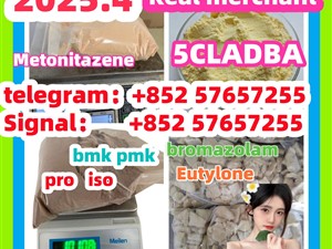 109555-87-5 5CLADBA Eutylone 802855-66-9 407-97-6