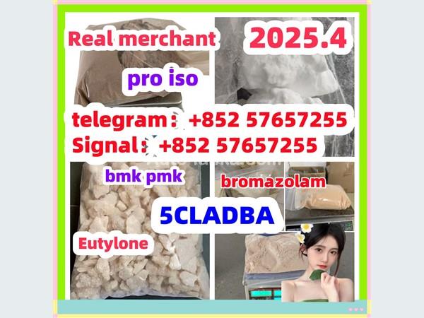 109555-87-5 5CLADBA Eutylone 802855-66-9   407-97-6