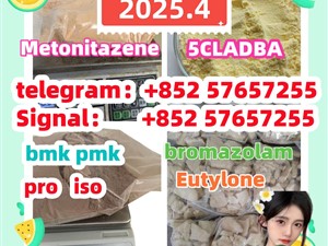14188-81-9 2732926-24-6 iso 5449-12-7 bmk pmk