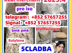 28981-97-7 71368-80-4 bromazolam 14680-51-4 Metonitazene