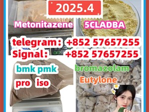 109555-87-5 5CLADBA Eutylone 802855-66-9 407-97-6