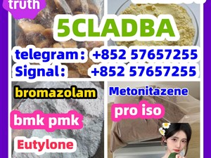 109555-87-5 5CLADBA Eutylone 802855-66-9 407-97-6