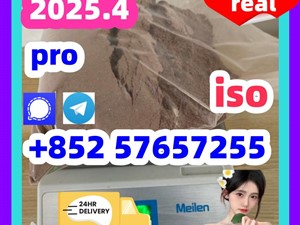 14188-81-9 2732926-24-6 iso 5449-12-7 bmk pmk