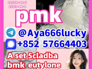 5449-12-7 New pmk powder PMK Glycidic 5cladba eutylone 52190-28-0 Best price 28578-16-7 2503-44-8