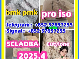109555-87-5 5CLADBA Eutylone 802855-66-9 407-97-6