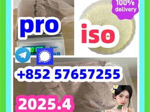 119276-01-6 protonitazene 14188-81-9 2732926-24-6 iso